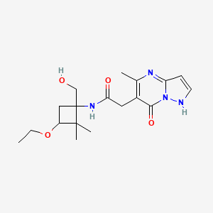 molecular formula C18H26N4O4 B7203942 N-[3-ethoxy-1-(hydroxymethyl)-2,2-dimethylcyclobutyl]-2-(5-methyl-7-oxo-1H-pyrazolo[1,5-a]pyrimidin-6-yl)acetamide 