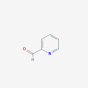 molecular formula C6H5NO B072084 2-吡啶甲醛 CAS No. 1121-60-4