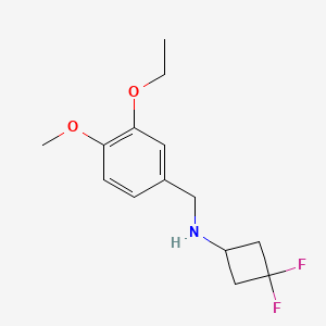 molecular formula C14H19F2NO2 B7209649 N-[(3-ethoxy-4-methoxyphenyl)methyl]-3,3-difluorocyclobutan-1-amine 