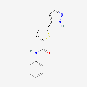 molecular formula C14H11N3OS B7210029 N-phenyl-5-(1H-pyrazol-5-yl)thiophene-2-carboxamide 