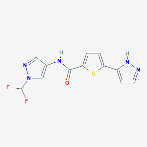 molecular formula C12H9F2N5OS B7210082 N-[1-(difluoromethyl)pyrazol-4-yl]-5-(1H-pyrazol-5-yl)thiophene-2-carboxamide 