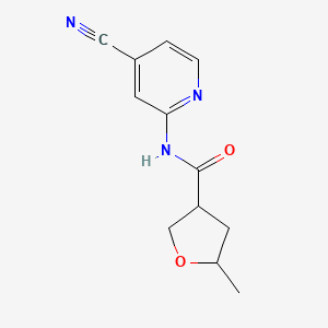 molecular formula C12H13N3O2 B7211025 N-(4-cyanopyridin-2-yl)-5-methyloxolane-3-carboxamide 