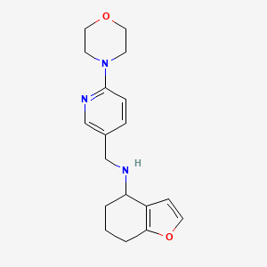 molecular formula C18H23N3O2 B7212543 N-[(6-morpholin-4-ylpyridin-3-yl)methyl]-4,5,6,7-tetrahydro-1-benzofuran-4-amine 