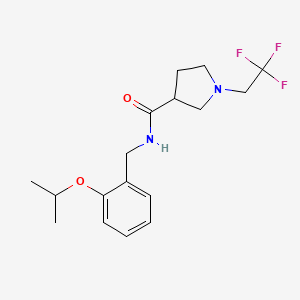 molecular formula C17H23F3N2O2 B7216302 N-[(2-propan-2-yloxyphenyl)methyl]-1-(2,2,2-trifluoroethyl)pyrrolidine-3-carboxamide 
