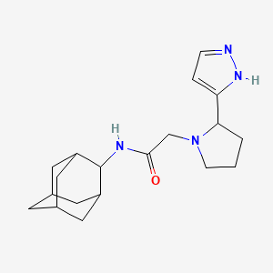 molecular formula C19H28N4O B7224755 N-(2-adamantyl)-2-[2-(1H-pyrazol-5-yl)pyrrolidin-1-yl]acetamide 