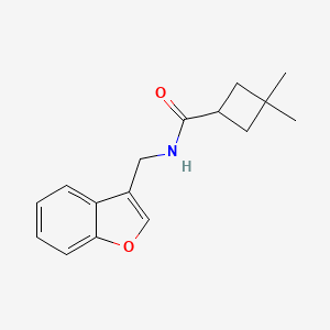 molecular formula C16H19NO2 B7225564 N-(1-benzofuran-3-ylmethyl)-3,3-dimethylcyclobutane-1-carboxamide 