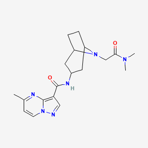 molecular formula C19H26N6O2 B7226694 N-[8-[2-(dimethylamino)-2-oxoethyl]-8-azabicyclo[3.2.1]octan-3-yl]-5-methylpyrazolo[1,5-a]pyrimidine-3-carboxamide 