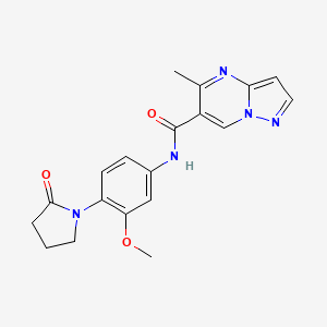 molecular formula C19H19N5O3 B7235878 N-[3-methoxy-4-(2-oxopyrrolidin-1-yl)phenyl]-5-methylpyrazolo[1,5-a]pyrimidine-6-carboxamide 
