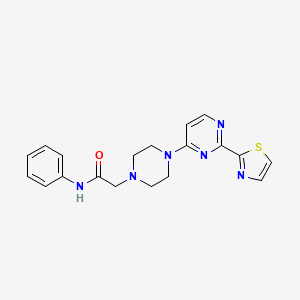 molecular formula C19H20N6OS B7268292 N-phenyl-2-[4-[2-(1,3-thiazol-2-yl)pyrimidin-4-yl]piperazin-1-yl]acetamide 