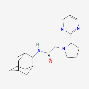 molecular formula C20H28N4O B7274058 N-(2-adamantyl)-2-(2-pyrimidin-2-ylpyrrolidin-1-yl)acetamide 