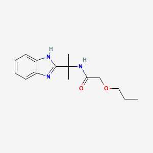 molecular formula C15H21N3O2 B7277350 N-[2-(1H-benzimidazol-2-yl)propan-2-yl]-2-propoxyacetamide 