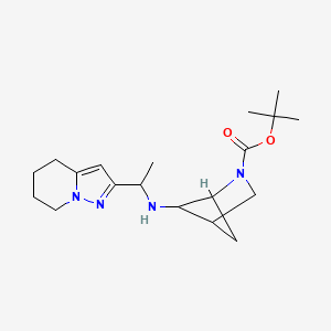 molecular formula C19H30N4O2 B7280130 Tert-butyl 5-[1-(4,5,6,7-tetrahydropyrazolo[1,5-a]pyridin-2-yl)ethylamino]-2-azabicyclo[2.1.1]hexane-2-carboxylate 