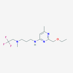 molecular formula C14H23F3N4O B7281942 N-[2-(ethoxymethyl)-6-methylpyrimidin-4-yl]-N'-methyl-N'-(2,2,2-trifluoroethyl)propane-1,3-diamine 