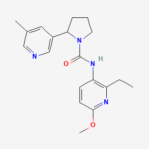 molecular formula C19H24N4O2 B7287236 N-(2-ethyl-6-methoxypyridin-3-yl)-2-(5-methylpyridin-3-yl)pyrrolidine-1-carboxamide 