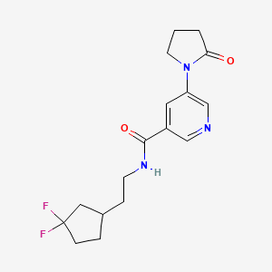 molecular formula C17H21F2N3O2 B7296479 N-[2-(3,3-difluorocyclopentyl)ethyl]-5-(2-oxopyrrolidin-1-yl)pyridine-3-carboxamide 