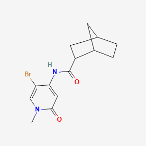 molecular formula C14H17BrN2O2 B7302761 N-(5-bromo-1-methyl-2-oxopyridin-4-yl)bicyclo[2.2.1]heptane-2-carboxamide 