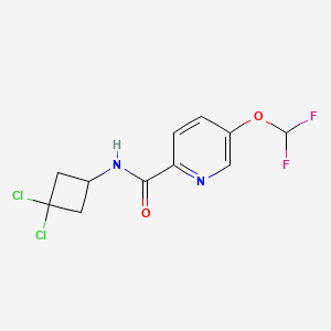 molecular formula C11H10Cl2F2N2O2 B7302918 N-(3,3-dichlorocyclobutyl)-5-(difluoromethoxy)pyridine-2-carboxamide 