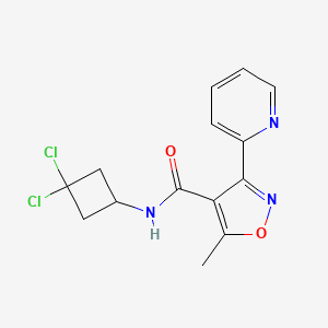 molecular formula C14H13Cl2N3O2 B7302921 N-(3,3-dichlorocyclobutyl)-5-methyl-3-pyridin-2-yl-1,2-oxazole-4-carboxamide 