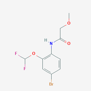 molecular formula C10H10BrF2NO3 B7303500 N-[4-bromo-2-(difluoromethoxy)phenyl]-2-methoxyacetamide 