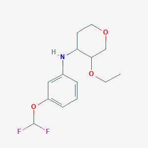molecular formula C14H19F2NO3 B7305976 N-[3-(difluoromethoxy)phenyl]-3-ethoxyoxan-4-amine 