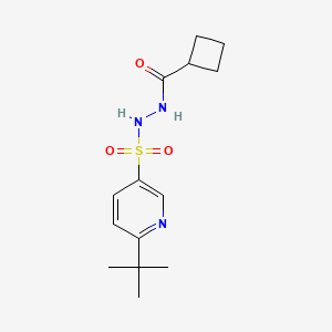 molecular formula C14H21N3O3S B7311579 N'-(6-tert-butylpyridin-3-yl)sulfonylcyclobutanecarbohydrazide 