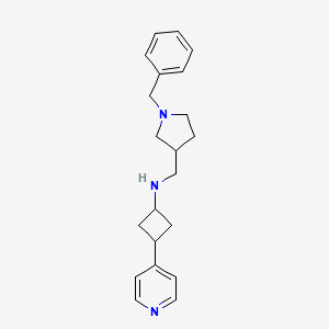 molecular formula C21H27N3 B7312069 N-[(1-benzylpyrrolidin-3-yl)methyl]-3-pyridin-4-ylcyclobutan-1-amine 