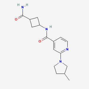 molecular formula C16H22N4O2 B7339368 N-(3-carbamoylcyclobutyl)-2-(3-methylpyrrolidin-1-yl)pyridine-4-carboxamide 