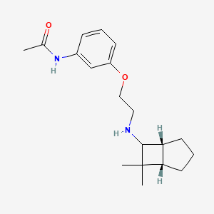 molecular formula C19H28N2O2 B7339835 N-[3-[2-[[(1S,5R)-7,7-dimethyl-6-bicyclo[3.2.0]heptanyl]amino]ethoxy]phenyl]acetamide 