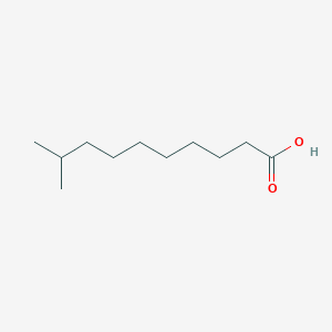 molecular formula C11H22O2 B073587 9-Methyldecanoic acid CAS No. 1119-63-7