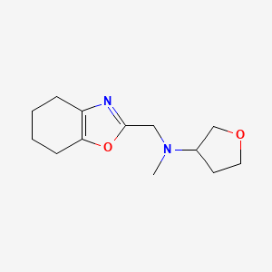 molecular formula C13H20N2O2 B7363347 N-methyl-N-(4,5,6,7-tetrahydro-1,3-benzoxazol-2-ylmethyl)oxolan-3-amine 