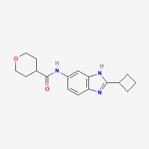 molecular formula C17H21N3O2 B7367492 N-(2-cyclobutyl-3H-benzimidazol-5-yl)oxane-4-carboxamide 