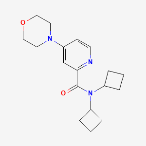 molecular formula C18H25N3O2 B7370139 N,N-di(cyclobutyl)-4-morpholin-4-ylpyridine-2-carboxamide 