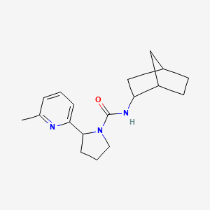 molecular formula C18H25N3O B7375322 N-(2-bicyclo[2.2.1]heptanyl)-2-(6-methylpyridin-2-yl)pyrrolidine-1-carboxamide 