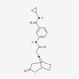 molecular formula C19H23N3O3 B7375966 N-cyclopropyl-3-[[2-(3-oxo-8-azabicyclo[3.2.1]octan-8-yl)acetyl]amino]benzamide 