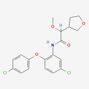 molecular formula C19H19Cl2NO4 B7399518 N-[5-chloro-2-(4-chlorophenoxy)phenyl]-2-methoxy-2-(oxolan-3-yl)acetamide 