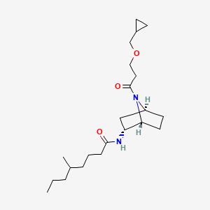 molecular formula C22H38N2O3 B7408137 N-[(1R,2R,4S)-7-[3-(cyclopropylmethoxy)propanoyl]-7-azabicyclo[2.2.1]heptan-2-yl]-5-methyloctanamide 