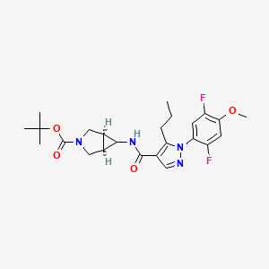 molecular formula C24H30F2N4O4 B7430676 tert-butyl (1R,5S)-6-[[1-(2,5-difluoro-4-methoxyphenyl)-5-propylpyrazole-4-carbonyl]amino]-3-azabicyclo[3.1.0]hexane-3-carboxylate 