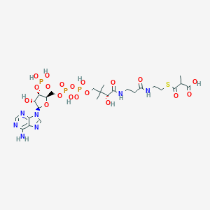 molecular formula C25H40N7O19P3S B074357 methylmalonyl-CoA CAS No. 1264-45-5
