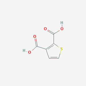 molecular formula C6H4O4S B074381 Thiophene-2,3-dicarboxylic acid CAS No. 1451-95-2