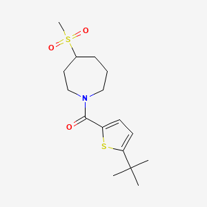 molecular formula C16H25NO3S2 B7442376 (5-Tert-butylthiophen-2-yl)-(4-methylsulfonylazepan-1-yl)methanone 