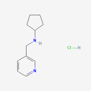 molecular formula C11H17ClN2 B7452035 N-Cyclopentyl-N-methylpyridin-3-amine dihydrochloride 