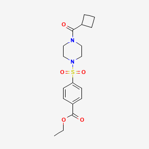molecular formula C18H24N2O5S B7477453 Ethyl 4-[4-(cyclobutanecarbonyl)piperazin-1-yl]sulfonylbenzoate 