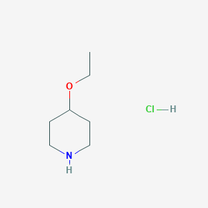 molecular formula C7H16ClNO B074778 4-ethoxypiperidine Hydrochloride CAS No. 1122-87-8