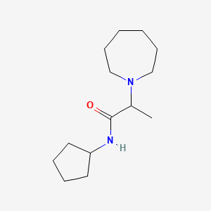 molecular formula C14H26N2O B7489180 2-(azepan-1-yl)-N-cyclopentylpropanamide 