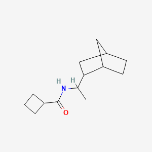 molecular formula C14H23NO B7489435 N-[1-(2-bicyclo[2.2.1]heptanyl)ethyl]cyclobutanecarboxamide 