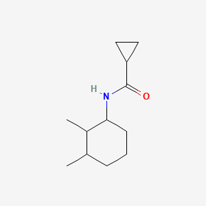 molecular formula C12H21NO B7490053 N-(2,3-dimethylcyclohexyl)cyclopropanecarboxamide 