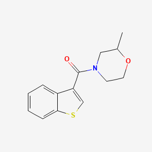 molecular formula C14H15NO2S B7491891 1-Benzothiophen-3-yl-(2-methylmorpholin-4-yl)methanone 