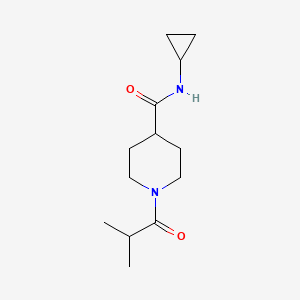 molecular formula C13H22N2O2 B7508739 N-cyclopropyl-1-(2-methylpropanoyl)piperidine-4-carboxamide 