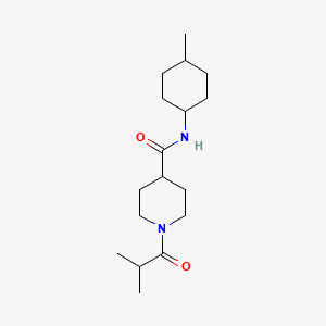 molecular formula C17H30N2O2 B7508834 N-(4-methylcyclohexyl)-1-(2-methylpropanoyl)piperidine-4-carboxamide 