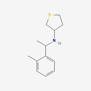 molecular formula C13H19NS B7524850 N-[1-(2-methylphenyl)ethyl]thiolan-3-amine 